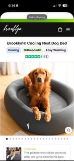 (Category: ) located in . Submitted by thriftbuysss (Listing ID 1458377474, Image 1). Description: .