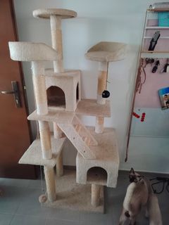 (Category: ) located in . Submitted by happydolphin.dcfe45 (Listing ID 1458314447, Image 1). Description: .