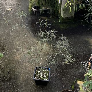 (Category: ) located in . Submitted by sghaworthiahabitat (Listing ID 1458417107, Image 1). Description: .