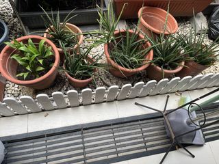 (Category: ) located in . Submitted by islawolfe (Listing ID 1458318210, Image 1). Description: .