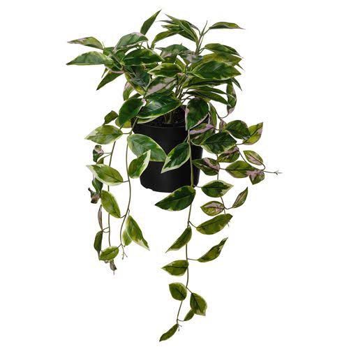 Ikea Fejka Artificial Plant - 15cm (Category: Artificial Plants & Flowers) located in Quezon City. Submitted by iywm_ (Listing ID 1458324883, Image 3). Description: ▪️no tag but never used/displayed. just stored. ▪️rfs: decluttering ▪️shipping via grab or lalamove only 📍loyola heights, qc .