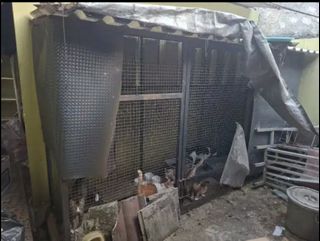 (Kategori: ) berada di . Dikirim oleh youngfalcon.12af73 (ID iklan 1458441189, Gambar 1). Deskripsi: .