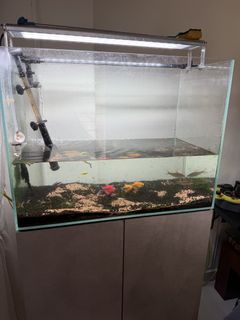 (Category: ) located in . Submitted by smy66 (Listing ID 1458368986, Image 1). Description: .