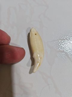 (Category: ) located in . Submitted by robert76888 (Listing ID 1458406033, Image 1). Description: .