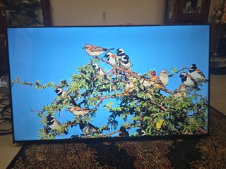 (Category: ) located in . Submitted by le_victoria (Listing ID 1458399273, Image 1). Description: .