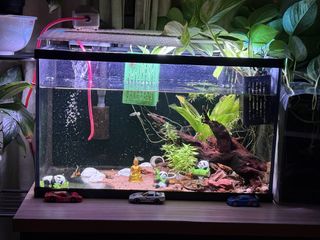 (Category: ) located in . Submitted by santyk01 (Listing ID 1458441946, Image 1). Description: .
