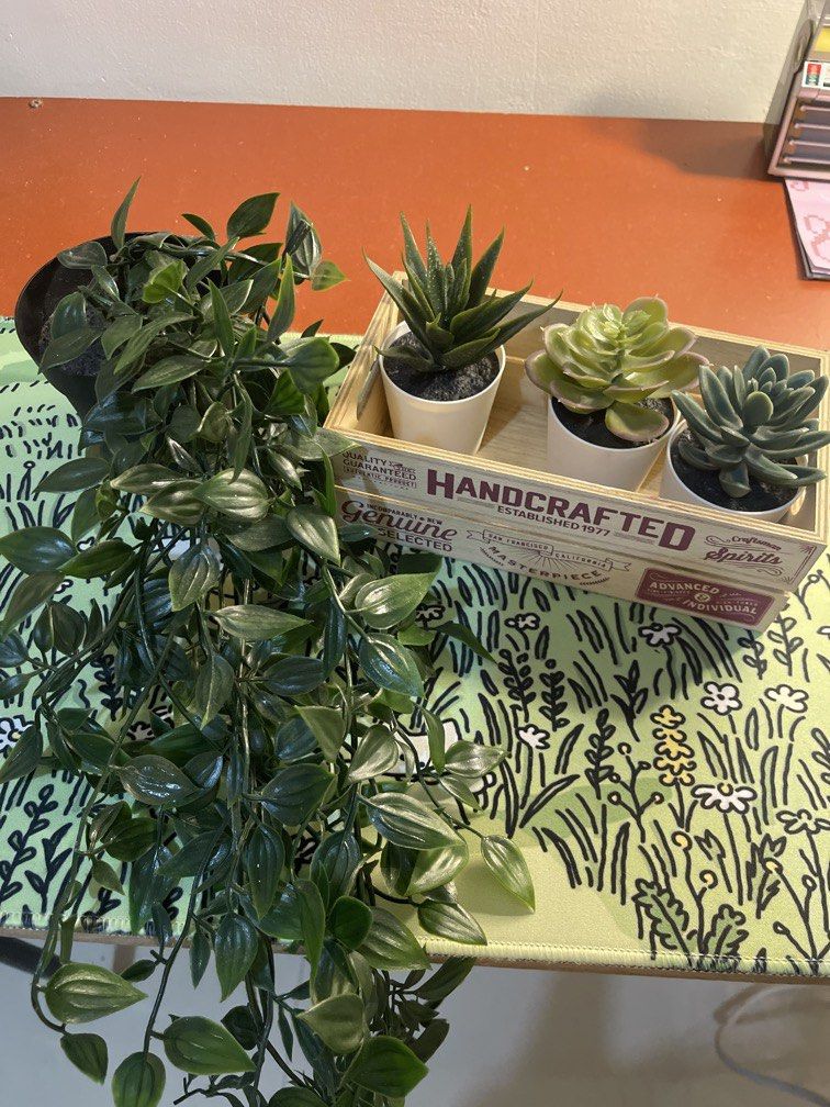 SET = ARTIFICIAL IKEA PLANTS (Category: Artificial Plants & Flowers) located in Cavite. Submitted by lily_anik (Listing ID 1458443040, Image 2). Description: Box included!!!!.