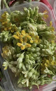 （分類：）位於 。 由 _delightgarden 提交（商品編號 1458491356，圖片 1）。簡介： 。