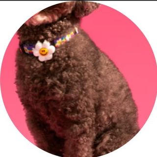 (Category: ) located in . Submitted by universalcharms (Listing ID 1458363267, Image 1). Description: .