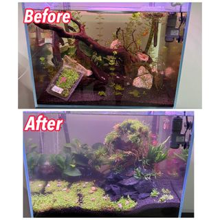 (Category: ) located in . Submitted by pisces_man_aquarium_services (Listing ID 1453526587, Image 1). Description: .