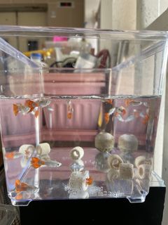 (Category: ) located in . Submitted by sunflower125 (Listing ID 1435717994, Image 1). Description: .