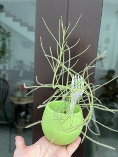 (Category: ) located in . Submitted by ralph.collections (Listing ID 1453553869, Image 1). Description: .