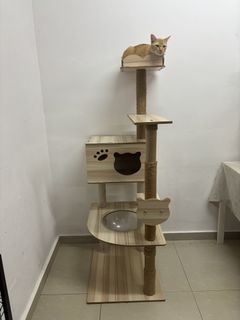 (Category: ) located in . Submitted by annfarah (Listing ID 1453461002, Image 1). Description: .