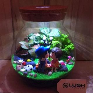(Category: ) located in . Submitted by lushglassdoor (Listing ID 1453529737, Image 1). Description: .