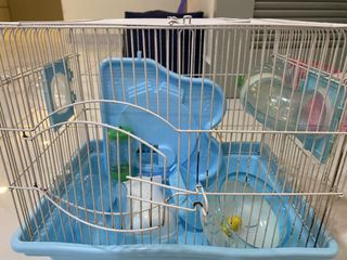 (Category: ) located in . Submitted by jenchua7 (Listing ID 1453577092, Image 1). Description: .