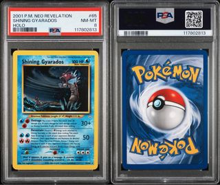 (Category: ) located in . Submitted by swim_james (Listing ID 1442673329, Image 1). Description: .