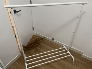 （分類：）位於 。 由 gggggg__k 提交（商品編號 1453459927，圖片 1）。簡介： 。