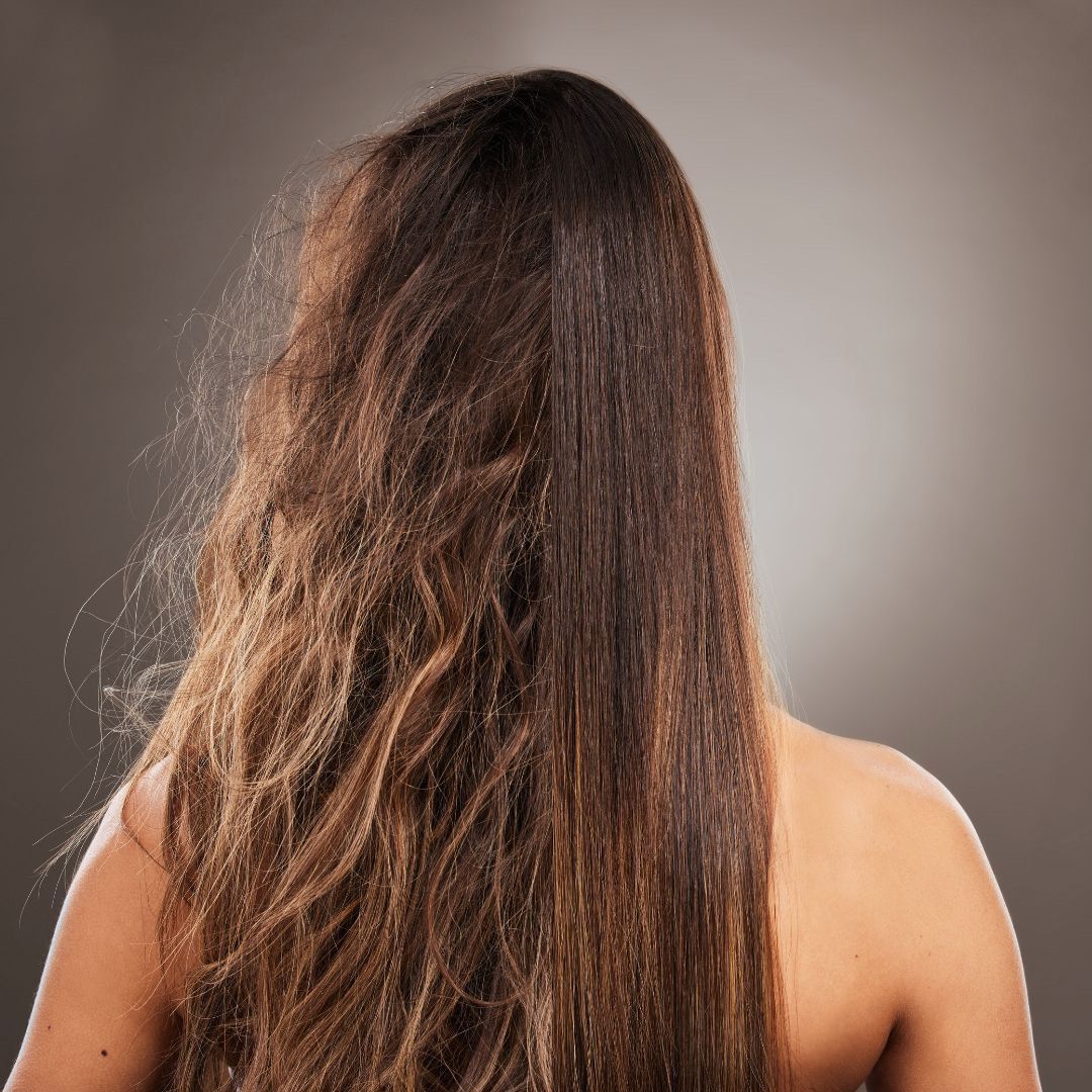 Model needed (Category: Hair) located in Singapore. Submitted by flyingoverthemoon (Listing ID 1453569346, Image 1). Description: Frizzy hair model needed for L’Oreal frizz control demo. Date. 12-08-26 Time : 11am Location : cluny court MRT botanic garden station Duration : may be 2-3 hour Cost: free of charge Promise : no. But L’Oreal product use. So you decide want or not. Can last how long. Don’t know. L’Oreal say 3-6 months. Is it like rebond