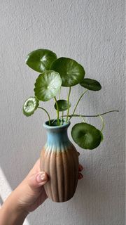 (Category: ) located in . Submitted by kindrootstudio (Listing ID 1453526504, Image 1). Description: .