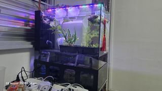 (Category: ) located in . Submitted by beauty.blue.52 (Listing ID 1453567851, Image 1). Description: .