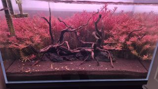 (Category: ) located in . Submitted by x3hmpk (Listing ID 1426536396, Image 1). Description: .