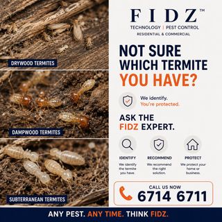 (Category: ) located in . Submitted by FIDZPESTCONTROLTEAM (Listing ID 1424437216, Image 1). Description: .