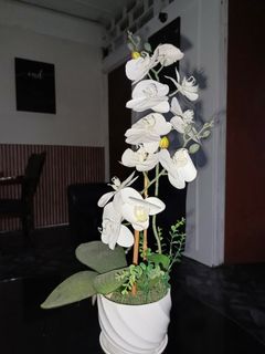 (Category: ) located in . Submitted by aneppo088 (Listing ID 1453565105, Image 1). Description: .