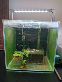 (Category: ) located in . Submitted by stephanatic (Listing ID 1458613461, Image 1). Description: .