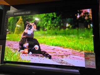（分類：）位於 。 由 the.top.4k.tv 提交（商品編號 1458537527，圖片 1）。簡介： 。