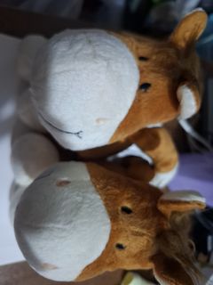 （分類：）位於 。 由 jcac731 提交（商品編號 1458593372，圖片 1）。簡介： 。