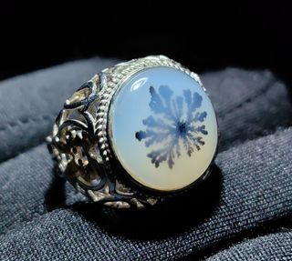 (Category: ) located in . Submitted by JHCollection2828 (Listing ID 1458585408, Image 1). Description: .