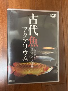 （分類：）位於 。 由 tec6evqipy 提交（商品編號 1458610989，圖片 1）。簡介： 。