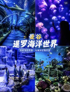 （分類：）位於 。 由 ssshirleysss 提交（商品編號 1458591368，圖片 1）。簡介： 。