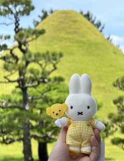 （分類：）位於 。 由 miffyselect22 提交（商品編號 1458676456，圖片 1）。簡介： 。