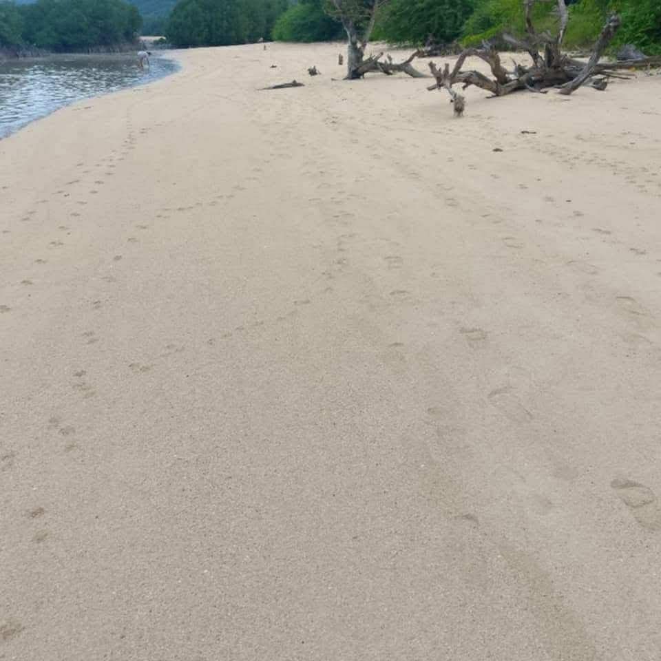 Beach front (Category: Lot) located in Aborlan. Submitted by mayeth_fox1986 (Listing ID 1458543953, Image 3). Description: location:coron busuanga palawan 3 hectares clean tittle 3,500 per square meter.