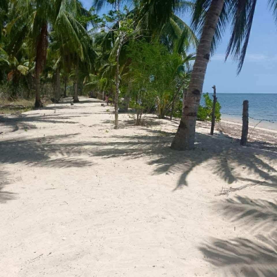 Beach front (Category: Lot) located in Aborlan. Submitted by mayeth_fox1986 (Listing ID 1458543953, Image 1). Description: location:coron busuanga palawan 3 hectares clean tittle 3,500 per square meter.