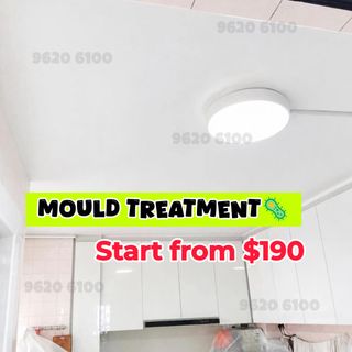 Anti-Mould Treatment  Collection item 3