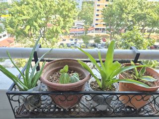 (Category: ) located in . Submitted by Sg187 (Listing ID 1458583546, Image 1). Description: .