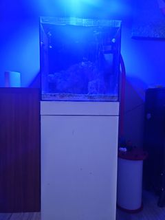 (Category: ) located in . Submitted by ashleylee16 (Listing ID 1458539966, Image 1). Description: .