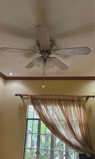 (Category: ) located in . Submitted by cinnacoll (Listing ID 1458562757, Image 1). Description: .