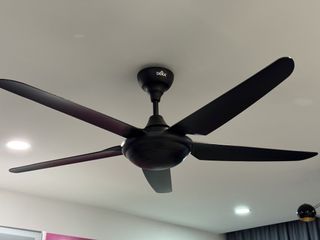 (Category: ) located in . Submitted by dasdilip584 (Listing ID 1458552096, Image 1). Description: .