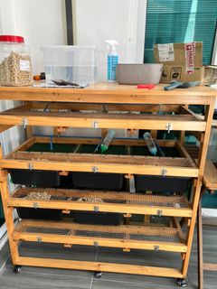 (Category: ) located in . Submitted by annie5796 (Listing ID 1458653251, Image 1). Description: .