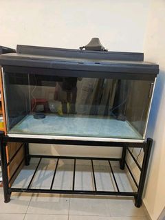 (Category: ) located in . Submitted by siowph90-17082 (Listing ID 1458663007, Image 1). Description: .