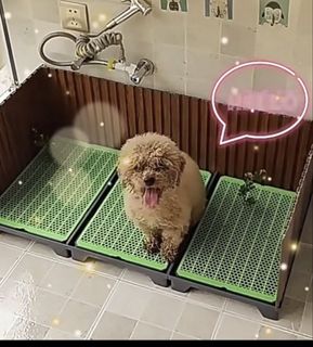 (Category: ) located in . Submitted by fat.cat.societies (Listing ID 1458557347, Image 1). Description: .