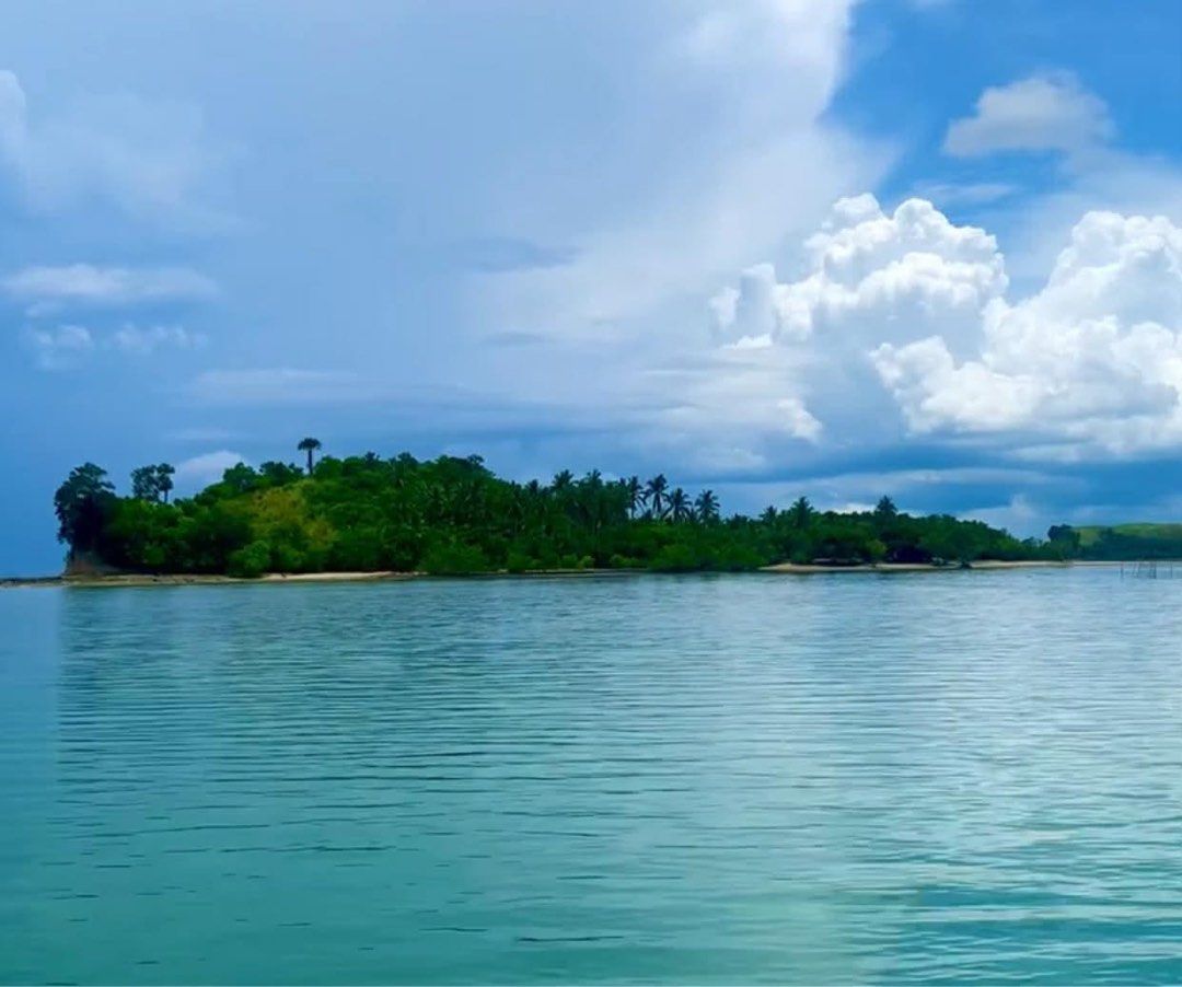 Island for sale (titled) (Category: Lot) located in Quezon City. Submitted by 33mdmc (Listing ID 1458506104, Image 1). Description: 2.5 hectare island in Lopez, Quezon, titled. Selling for 5k per square meter. .