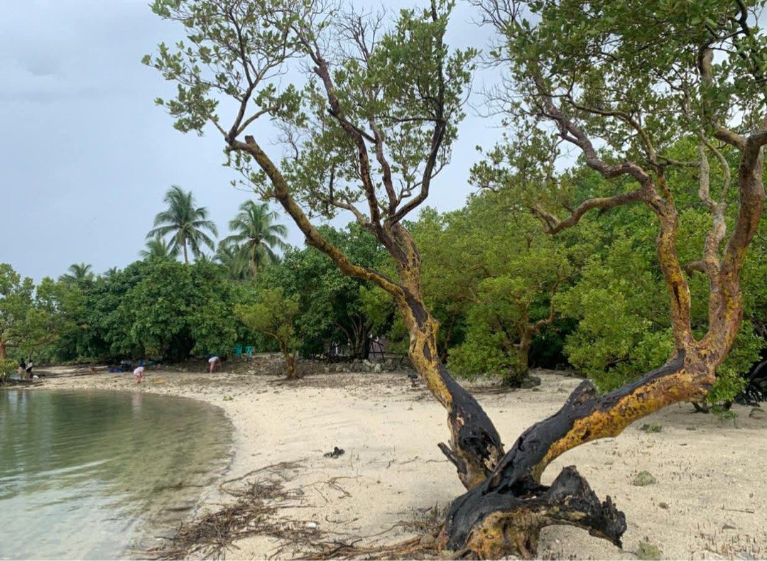 Island for sale (titled) (Category: Lot) located in Quezon City. Submitted by 33mdmc (Listing ID 1458506104, Image 2). Description: 2.5 hectare island in Lopez, Quezon, titled. Selling for 5k per square meter. .