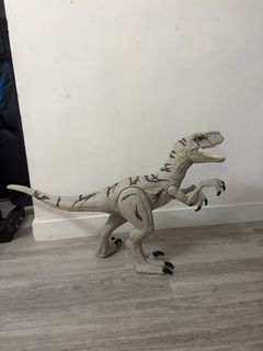 （分類：）位於 。 由 ecofriendlymama 提交（商品編號 1458622192，圖片 1）。簡介： 。