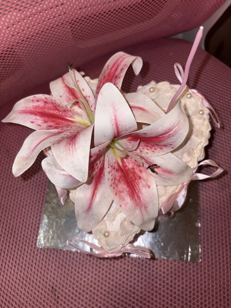 Lily Heart Dummy Cake (Category: Other Photography Accessories) located in Pasig City. Submitted by alea327216 (Listing ID 1458563920, Image 1). Description: 🎀 FOR SALE!!! 🎀 lily heart dummy cake (with glitter effect) with FREE pink spiral candle (unused) used once - for photoshoot only too pretty to let go🥹 spent around 700+ on this DIY dummy cak ₱300 ONLY Perfect for girlies with an upcoming birthday who don’t want to spend too much on a rea