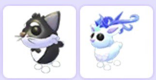 （分類：）位於 。 由 adoptmesells_56 提交（商品編號 1458611005，圖片 1）。簡介： 。