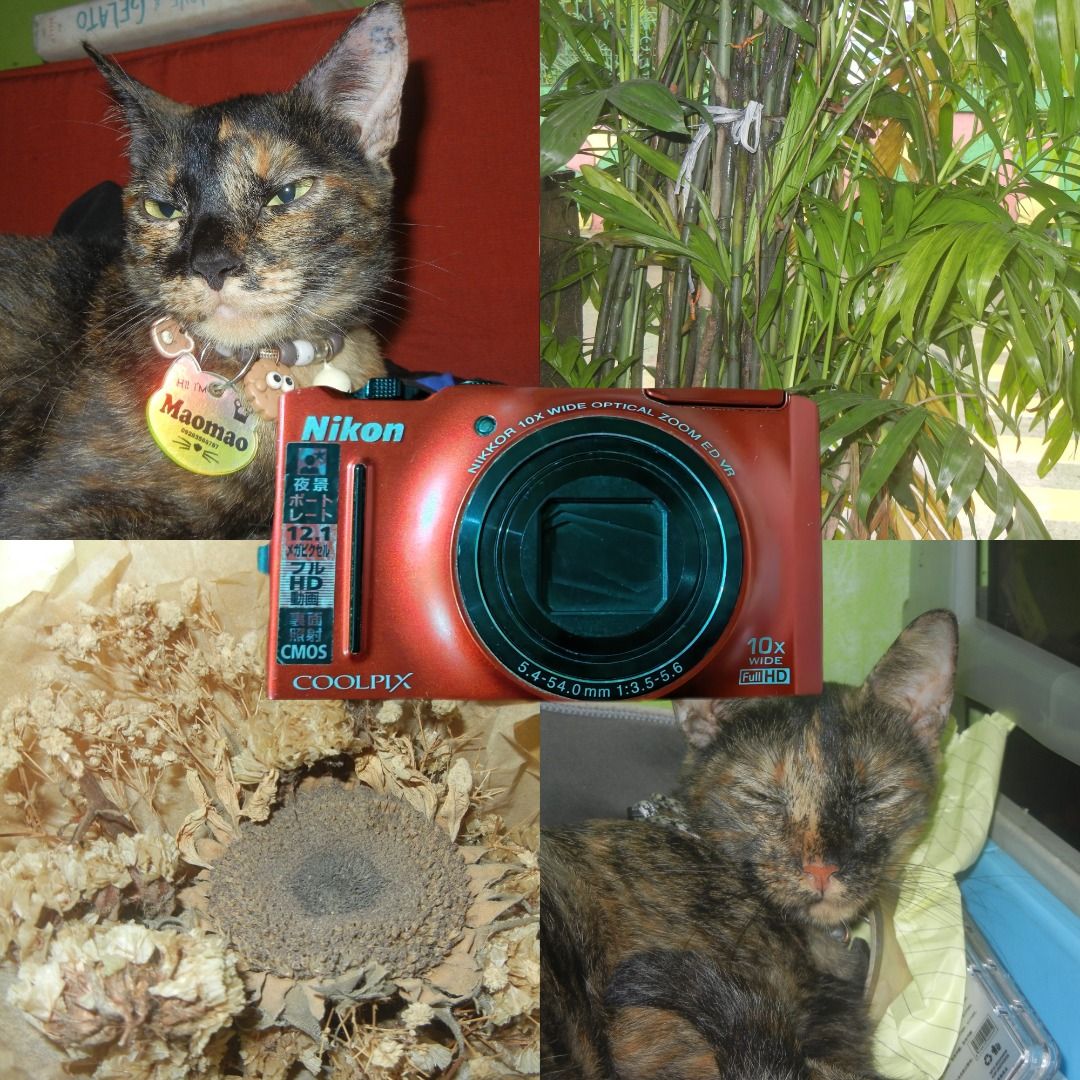 Nikon Coolpix S8100 (Category: Cameras) located in Valenzuela. Submitted by Athanasia (Listing ID 1458548981, Image 1). Description: Nikon Coolpix S8100 -With Pop-up Flash! P5000 ISSUE: Lcd vignette Inclusion: Camera Battery Charger Loc: Valenzuela Mop: Gcash | Maribank Mod: Lalamove .
